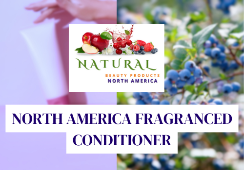 North America Fragranced Conditioner